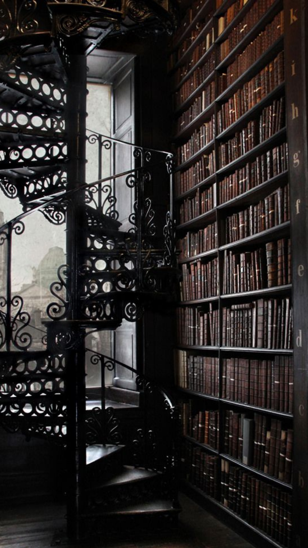 Virtual Library Explorer